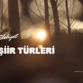 şiir türleri